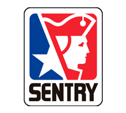 Logo Home Sentry